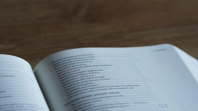 How To Find Your LLC's Formation Date: Complete Guide